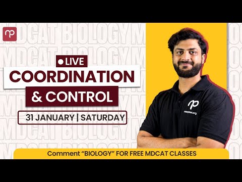 Thumbnail for Coordination & Control — Free Live Class